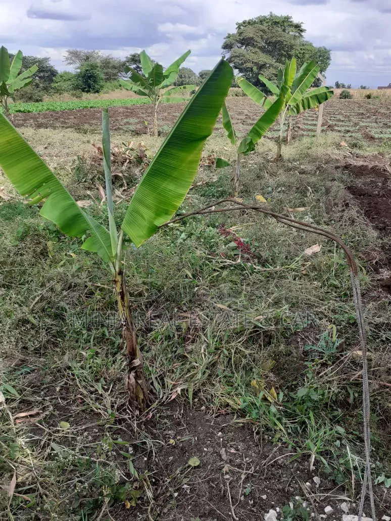Cheap Plot for Sale Along Nduruma Road Arusha in Tengeru