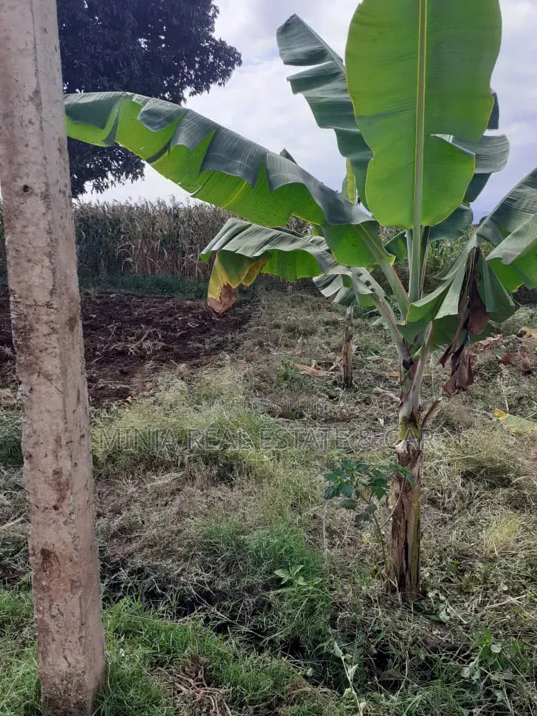 Cheap Plot for Sale Along Nduruma Road Arusha in Tengeru