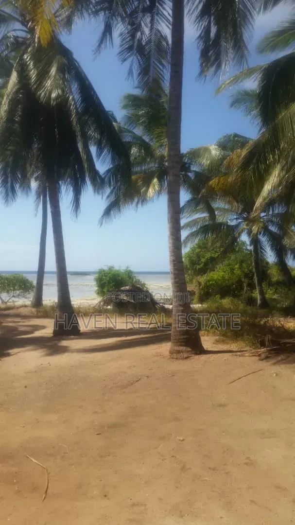 613 Acres Beautifully Island for Sale at Kilwa in Masoko