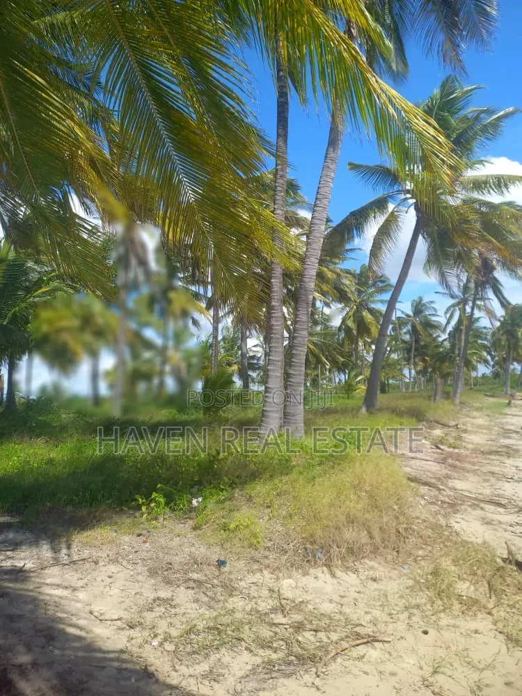 613 Acres Beautifully Island for Sale at Kilwa in Masoko