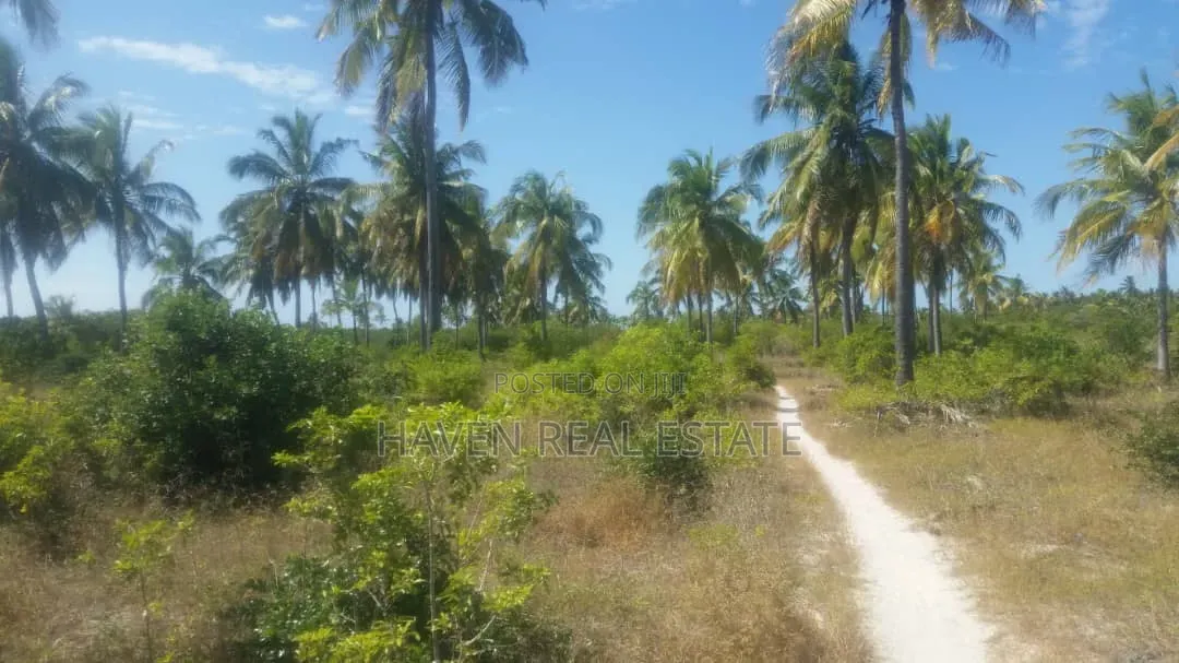 613 Acres Beautifully Island for Sale at Kilwa in Masoko