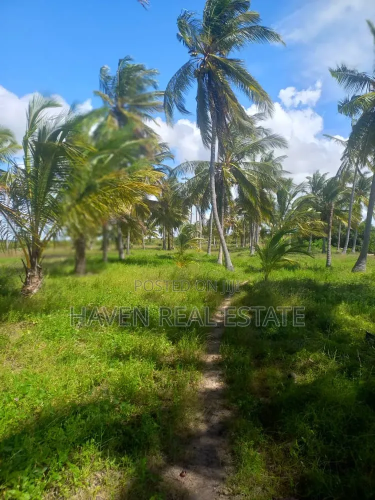 613 Acres Beautifully Island for Sale at Kilwa in Masoko