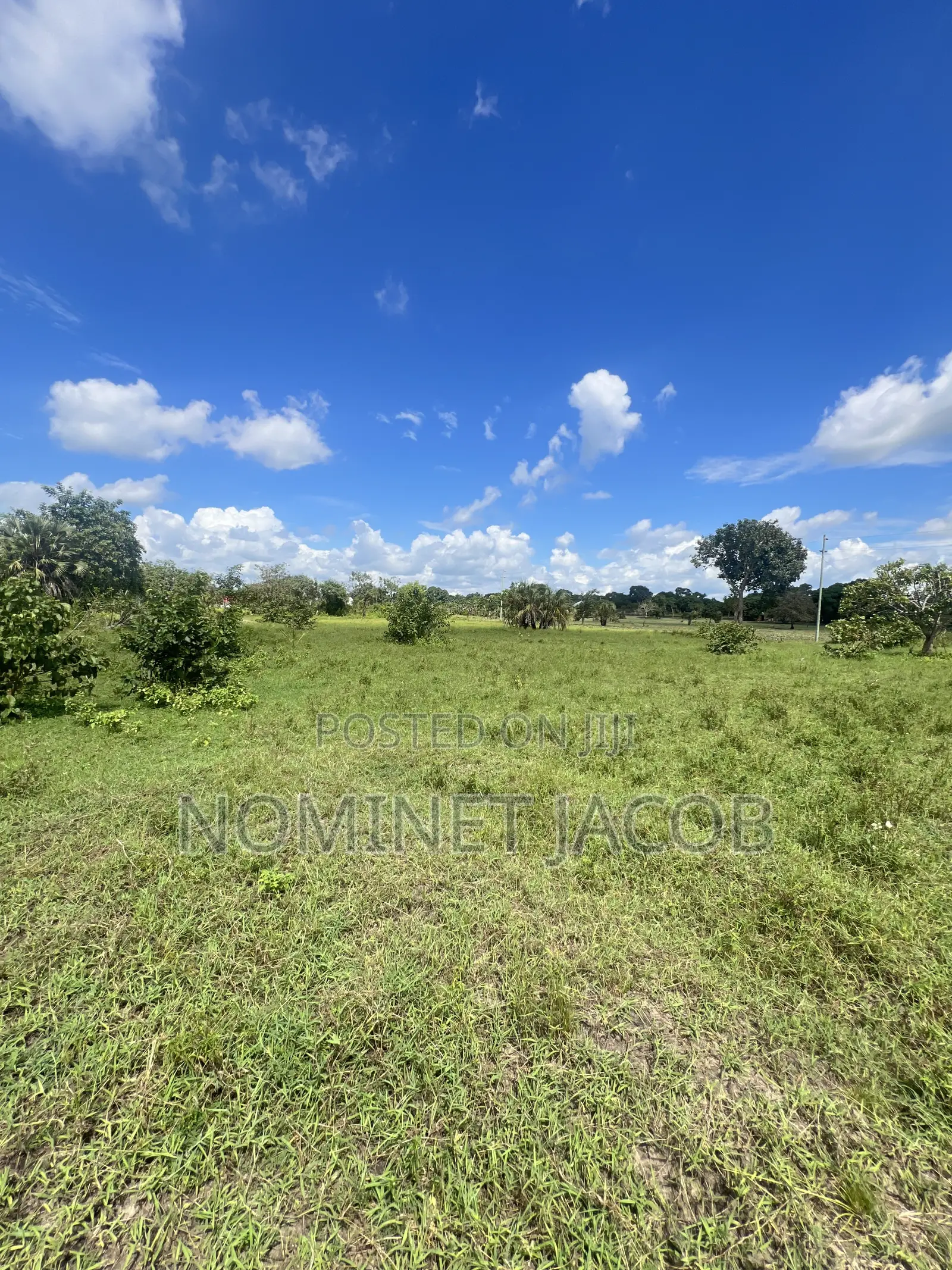 Plot for Sale in Tabata