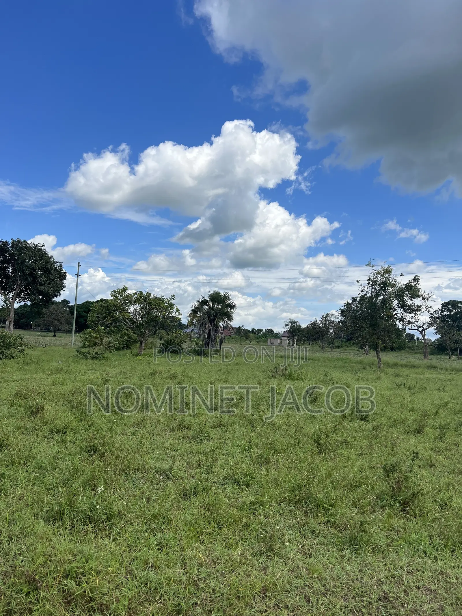 Plot for Sale in Tabata