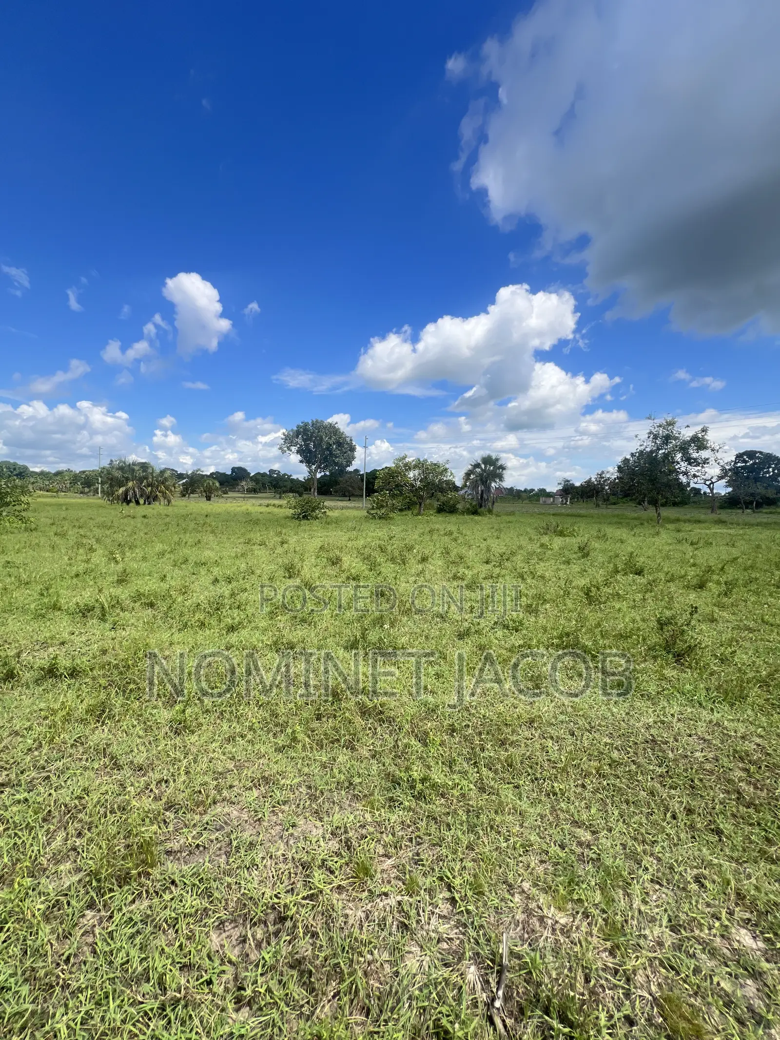 Plot for Sale in Tabata