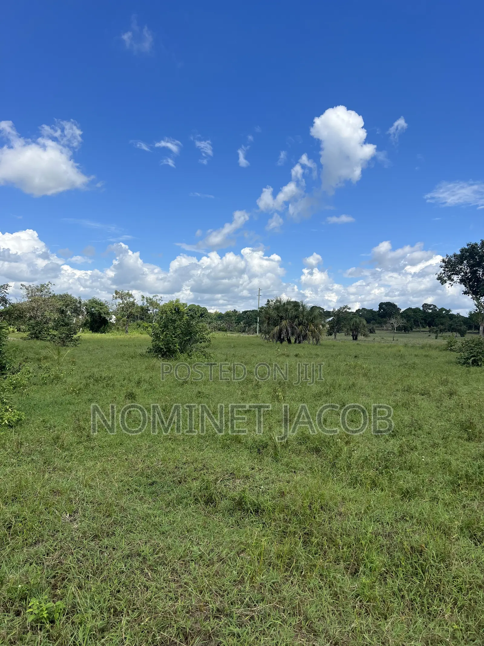 Plot for Sale in Tabata