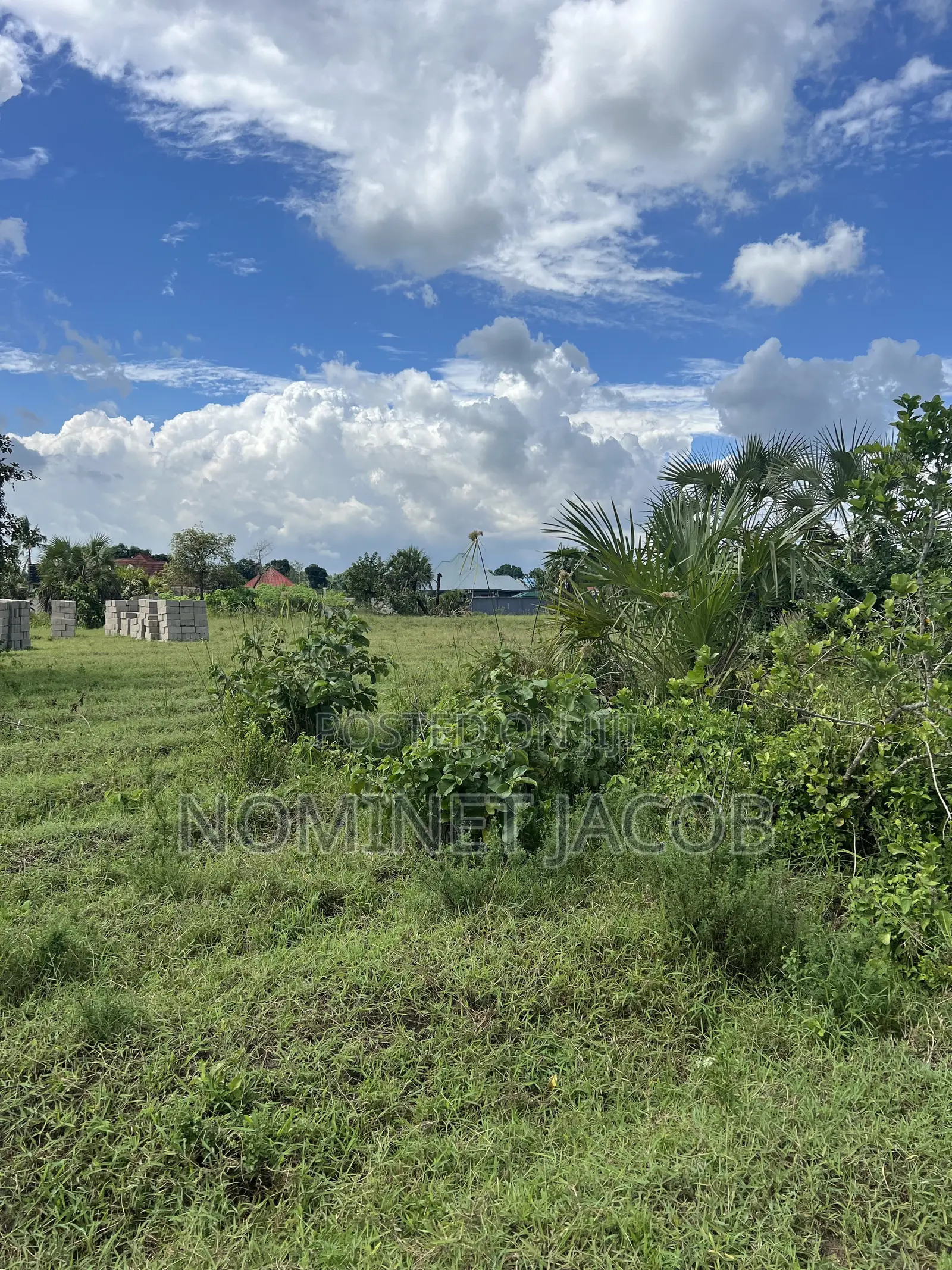 Plot for Sale in Tabata