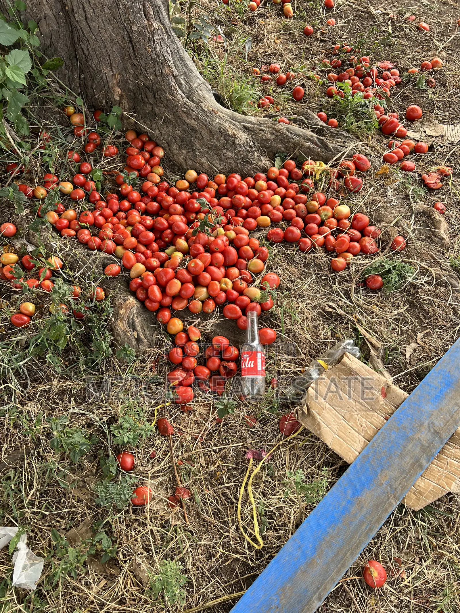 Shamba La Ekari 58 Lenye Mto Sanya Linauzwa Boma Ng'ombe Kwa Wasomali in Olkolili