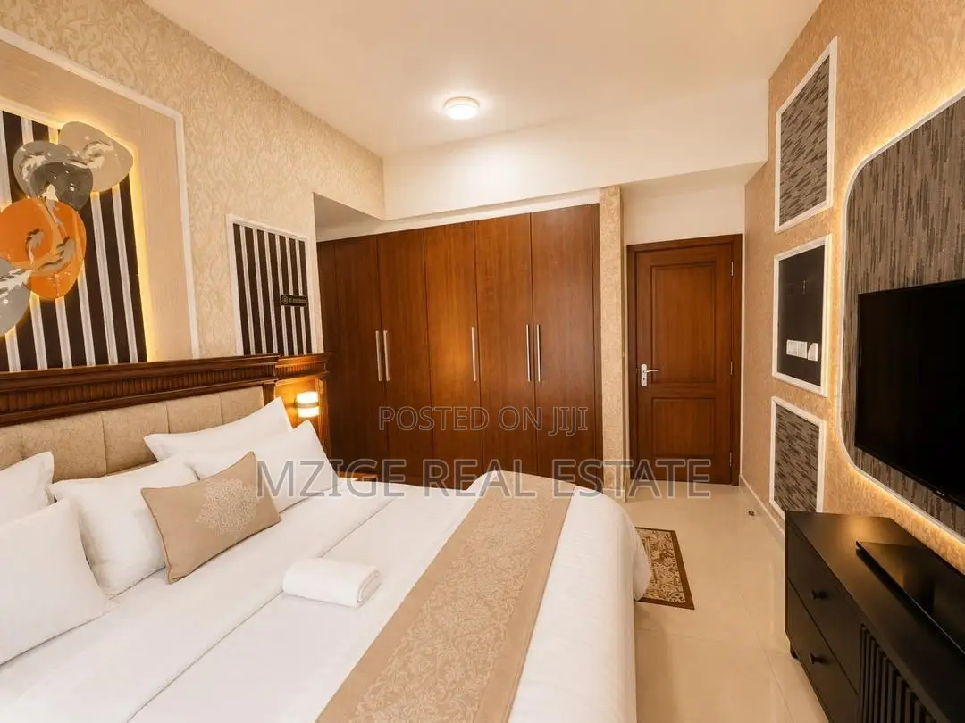 Furnished 3bdrm Apartment in Apartment Fully for sale in Hananasif