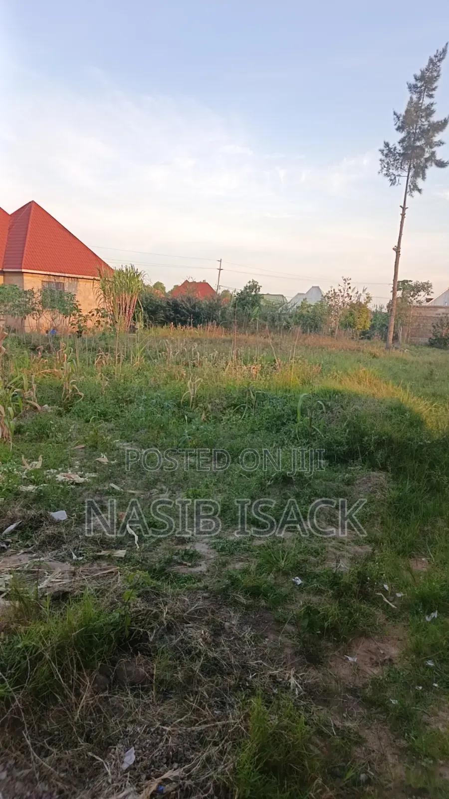 Plot for Sale Nyamhoro in Nyamongoro
