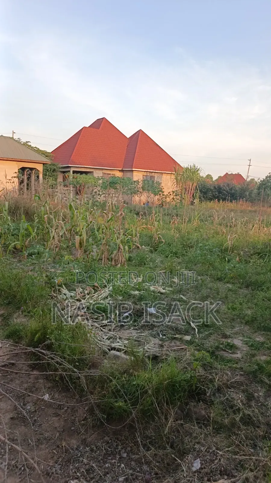 Plot for Sale Nyamhoro in Nyamongoro