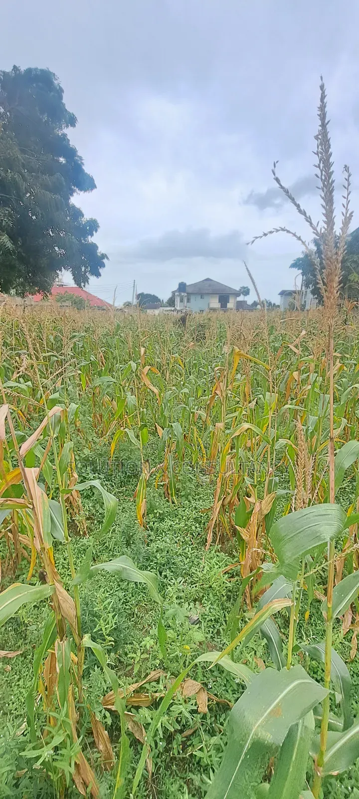 Kiwanja Kinauzwa Mbweni Teta in Mbweni