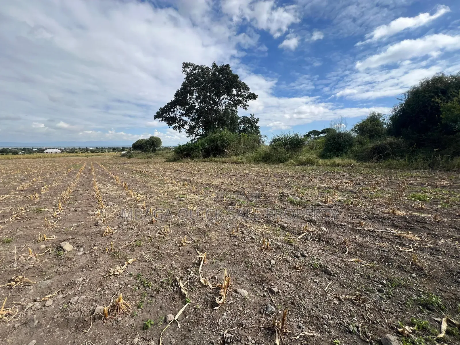 Plot Area SQM for Sale in Arusha Chini