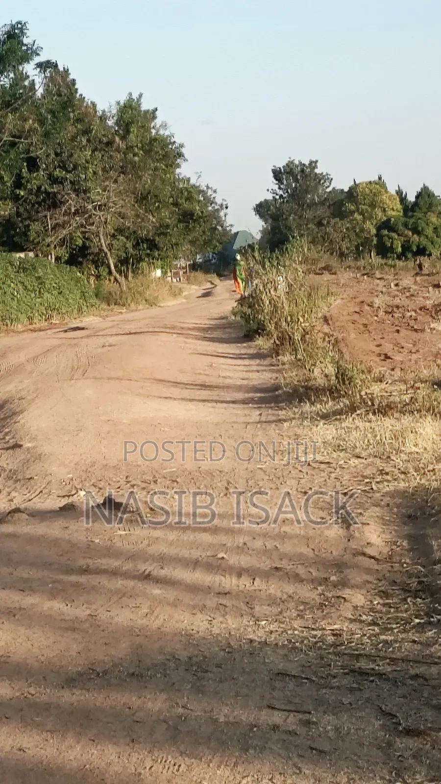 Plot for Sale Nyamhogoro Mwanza in Nyamongoro