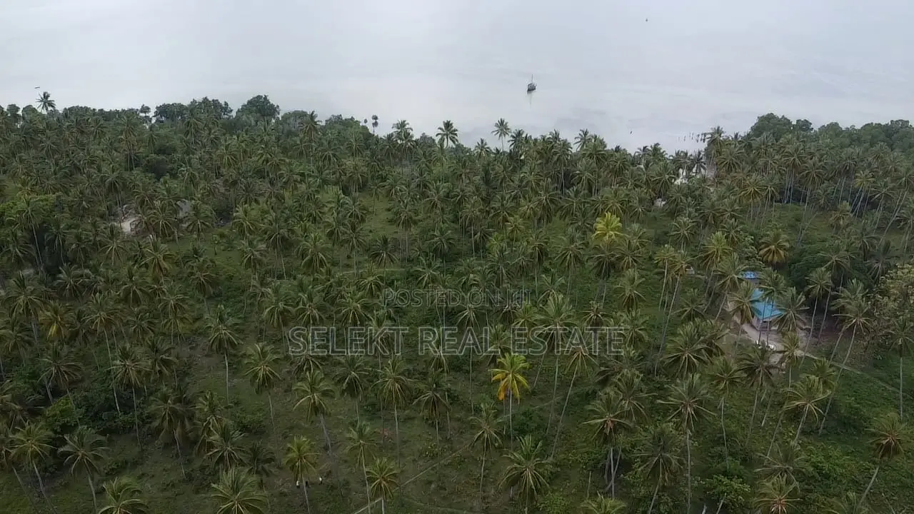 31.4 Acres Prime Beachfront Land at Mafia Island in Mwera