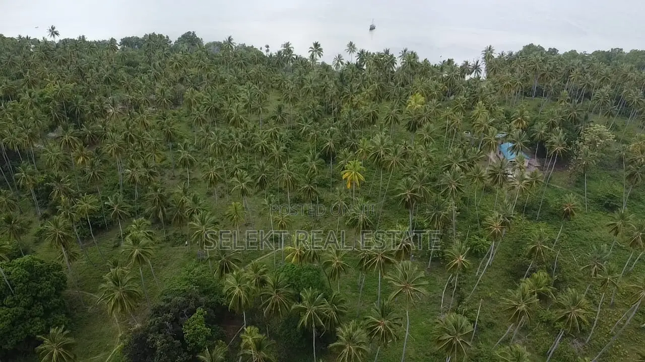 31.4 Acres Prime Beachfront Land at Mafia Island in Mwera