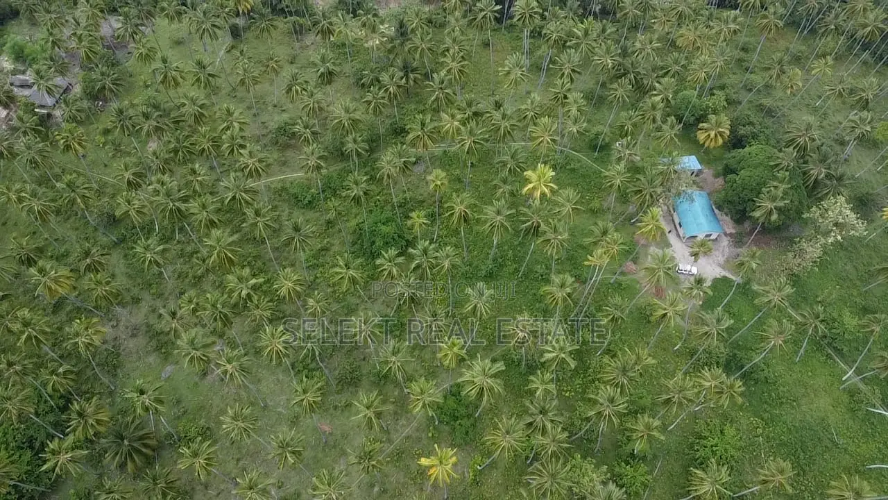31.4 Acres Prime Beachfront Land at Mafia Island in Mwera