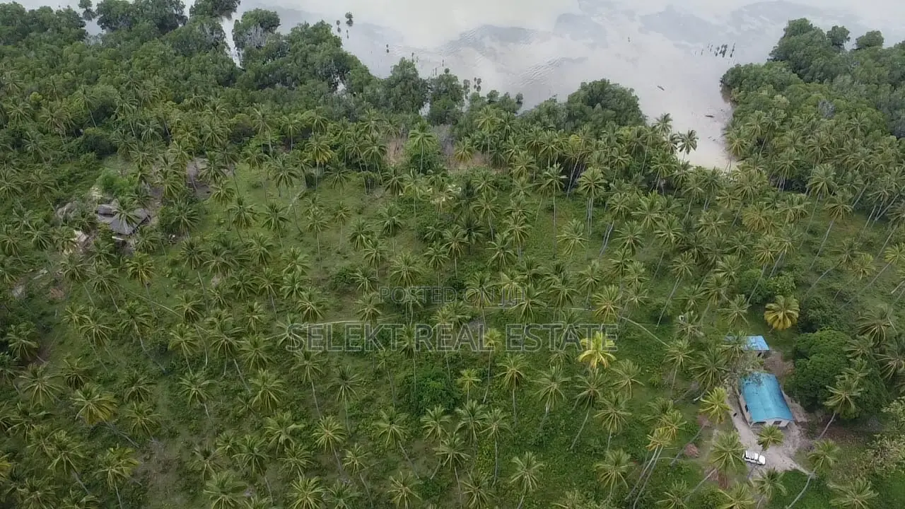31.4 Acres Prime Beachfront Land at Mafia Island in Mwera