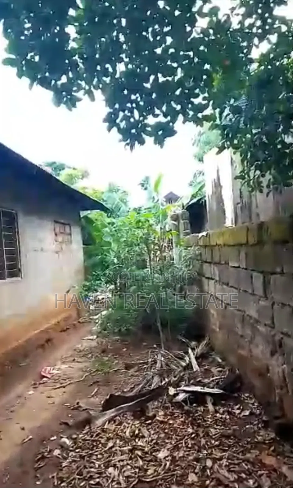 Eneo Linauzwa Kiembe Samaki Zanzibar in Mjini