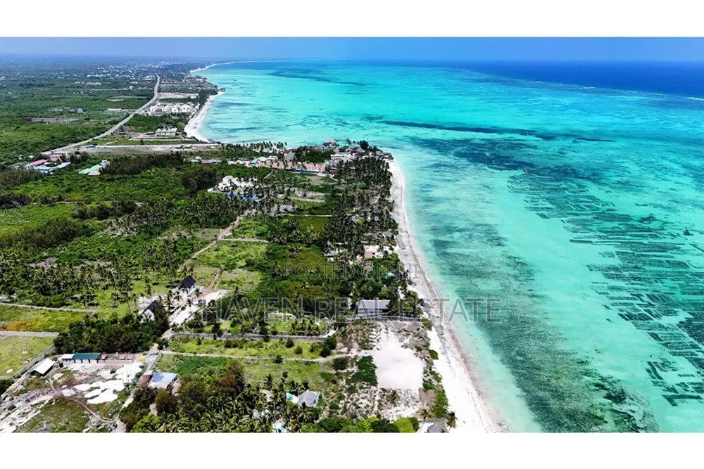 Prime Beach Plot for Sale at Jambiani Zanzibar in Kaskazini A
