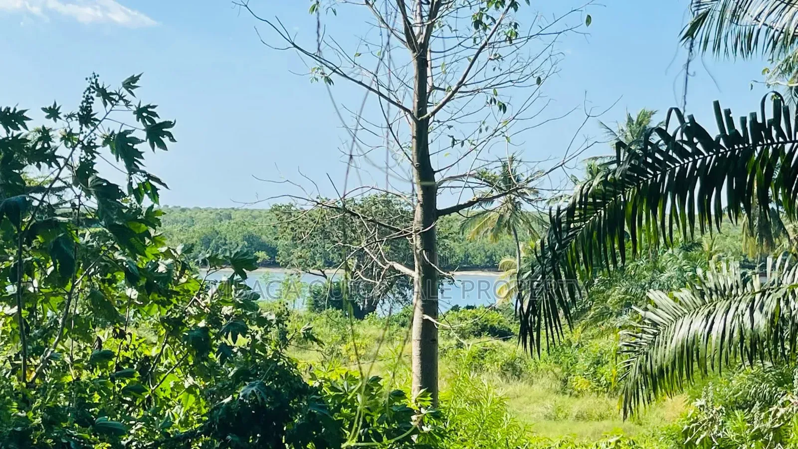 Plot Area SQM 7300 for Sale at Bagamoyo Zinga in Zinga