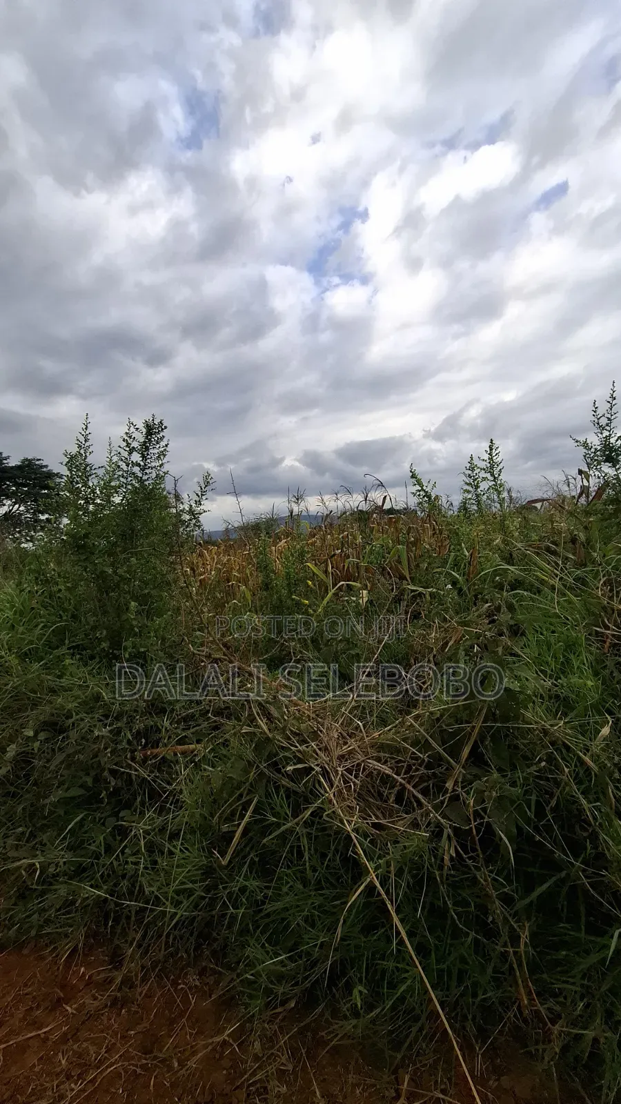 Plot 4 Gold Mine at Chunya Hector 7 Investment Area in Makongorosi
