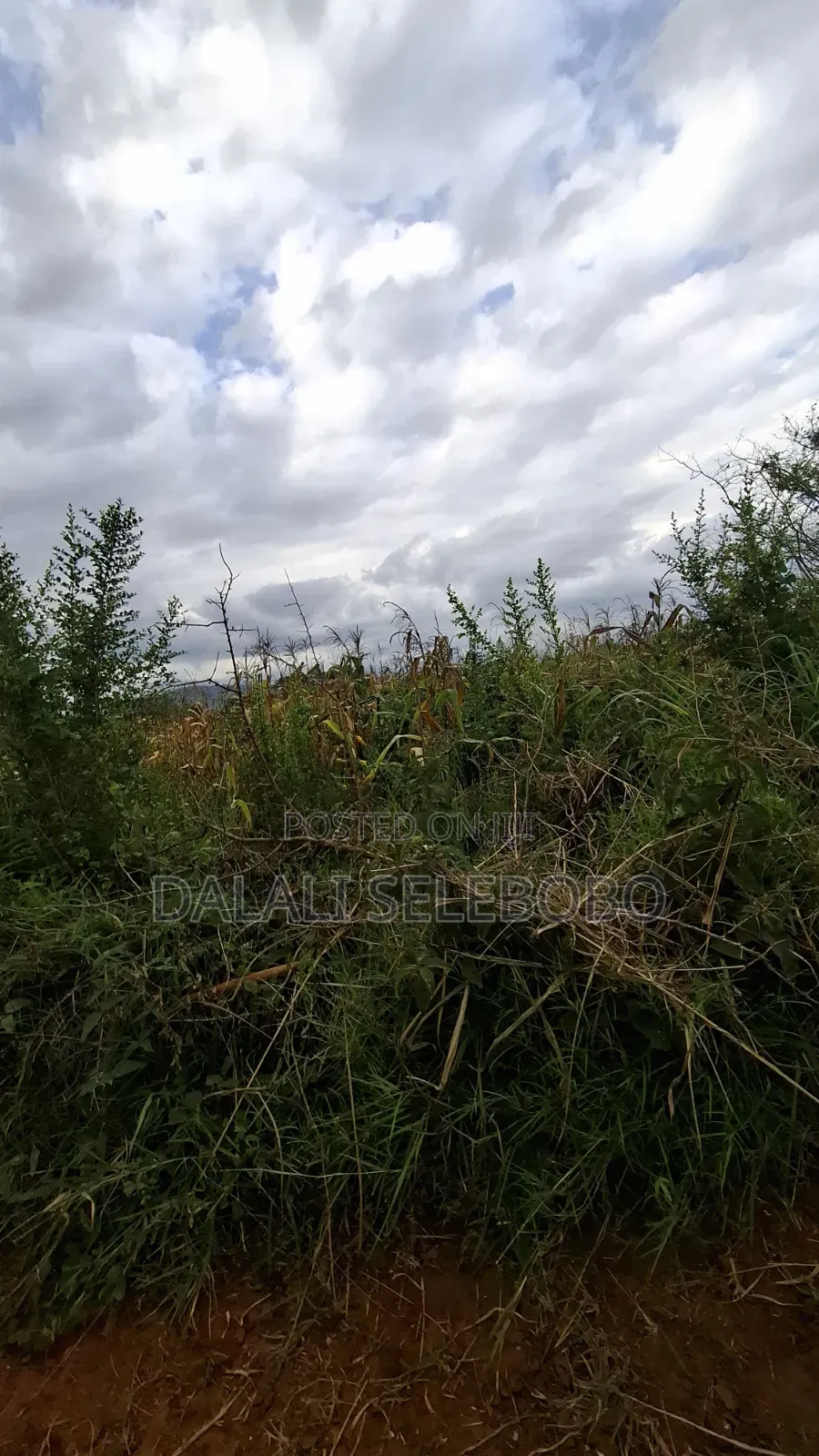 Plot 4 Gold Mine at Chunya Hector 7 Investment Area in Makongorosi