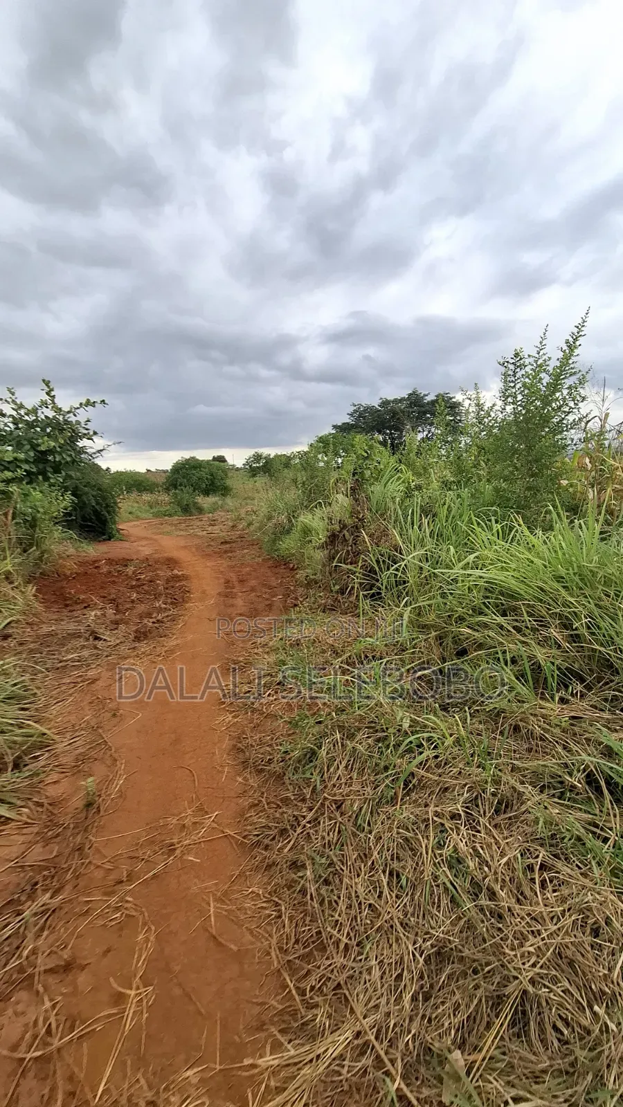 Plot 4 Gold Mine at Chunya Hector 7 Investment Area in Makongorosi