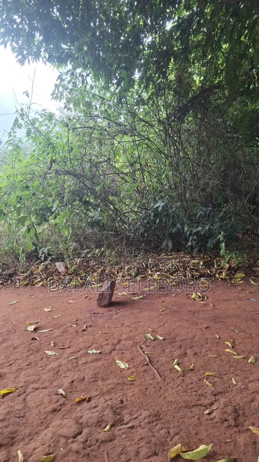 Plot 4 Gold Mine at Chunya Hector 7 Investment Area in Makongorosi