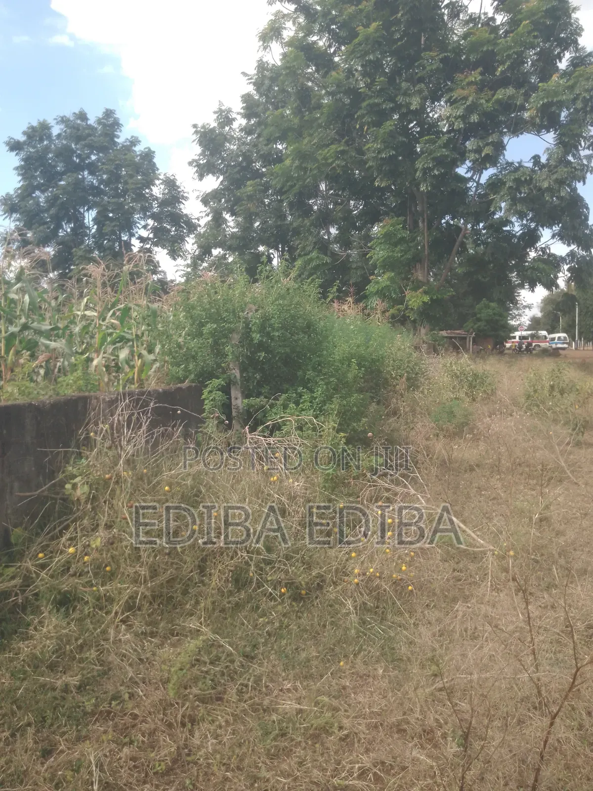 6200 SQMS Plot for Sale at Njiro in Njiro