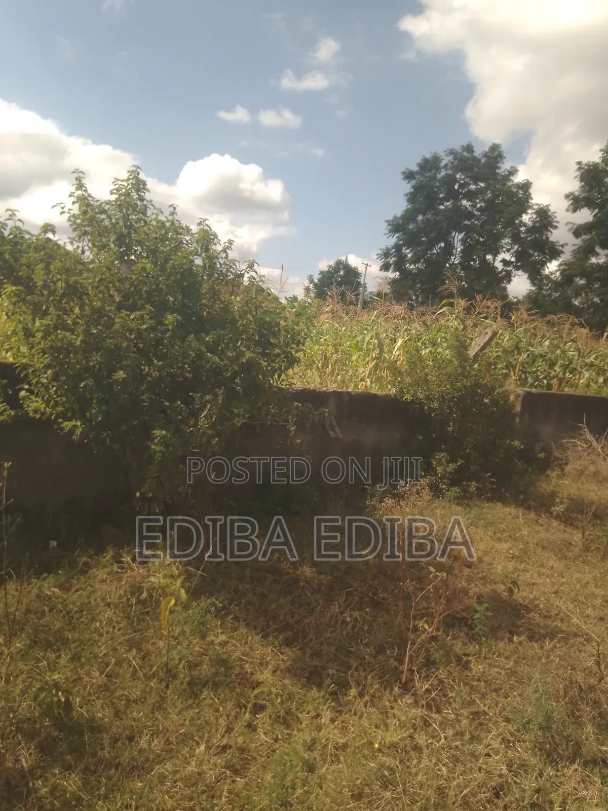 6200 SQMS Plot for Sale at Njiro in Njiro