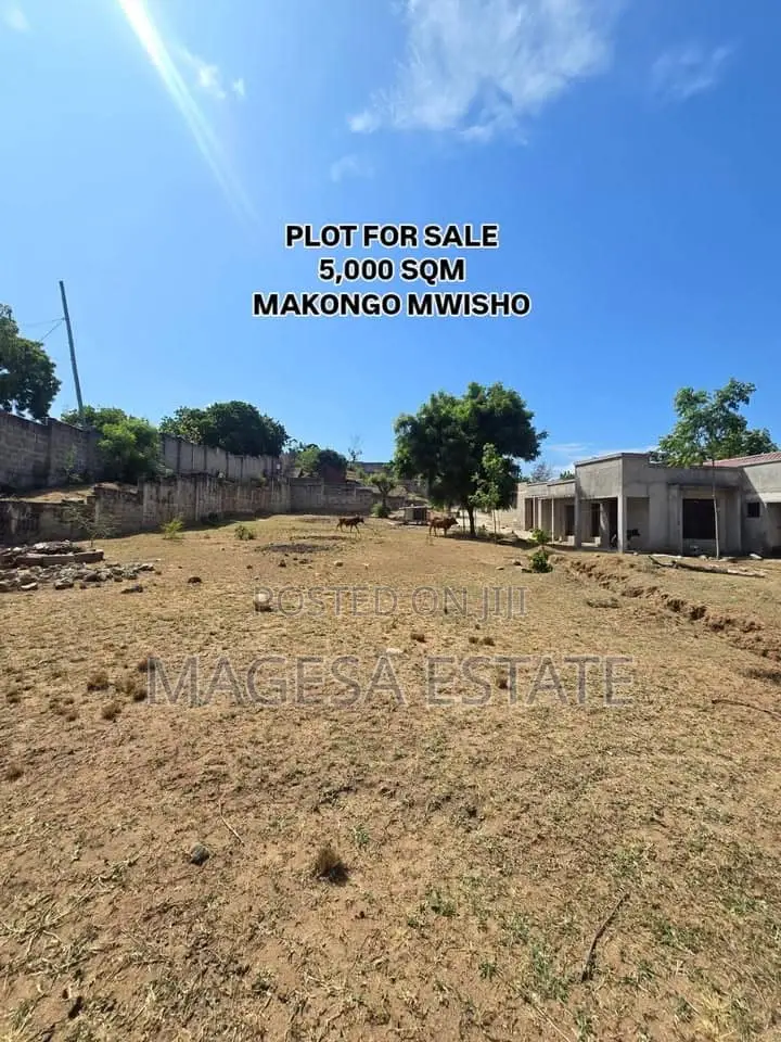 Land for Sale in Makongo in Goba