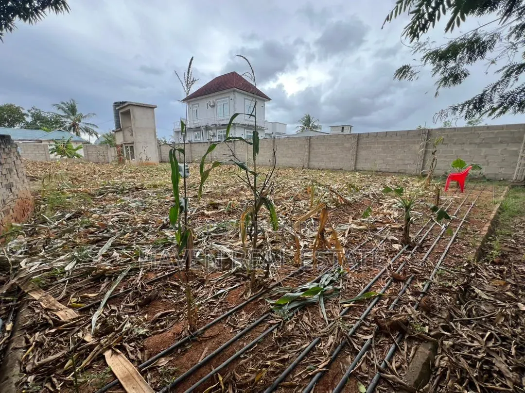 Eneo La Uwekezaji 1 Acre Linauzwa Kibada Shangwe in Kibada