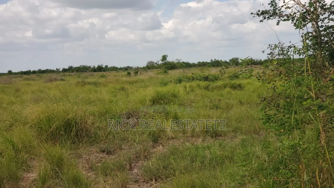 Shamba La Heka Kumi Na Tano (15) Linauzwa Bagamoyo - Makurunge in Saadani