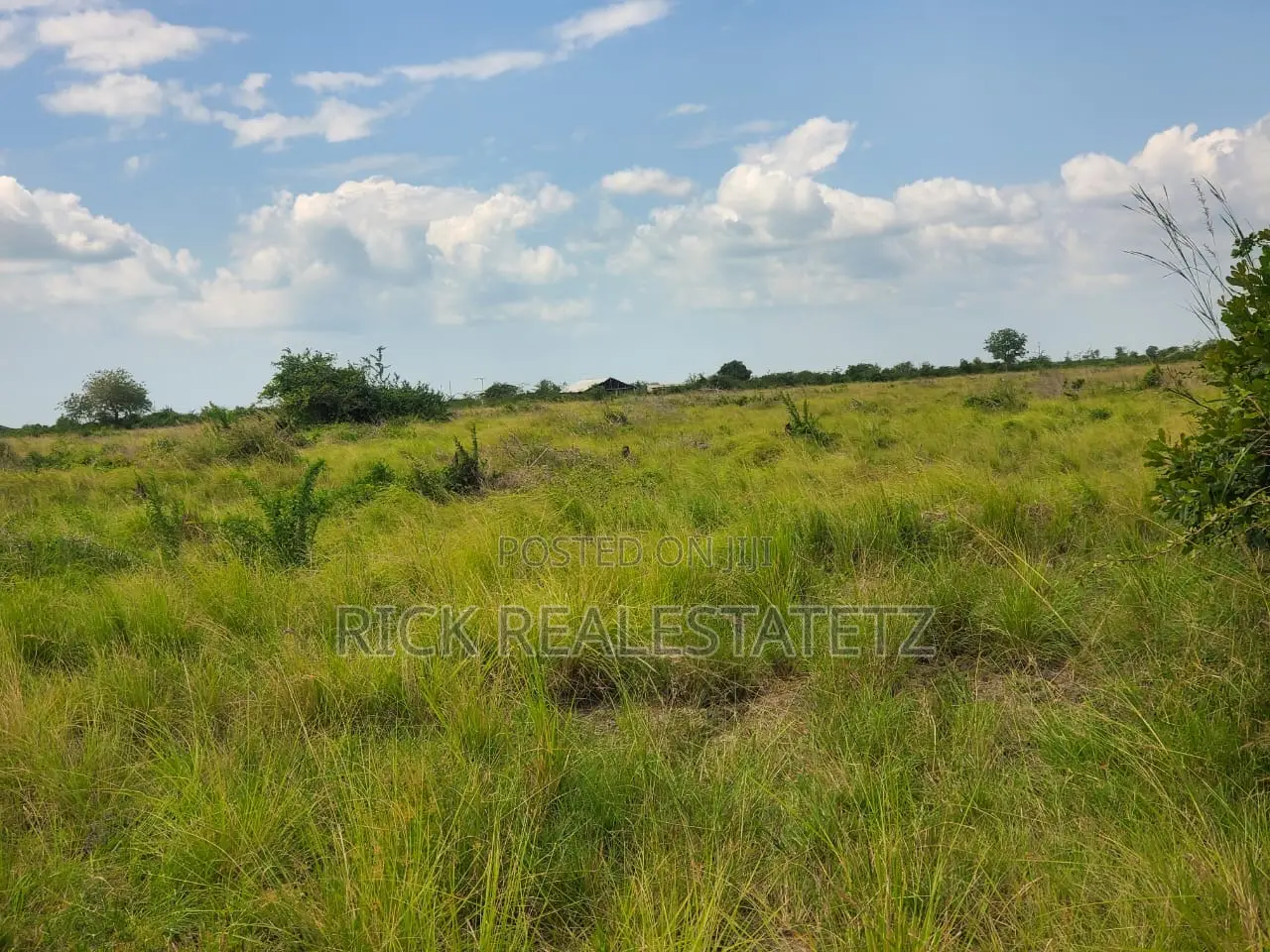 Shamba La Heka Kumi Na Tano (15) Linauzwa Bagamoyo - Makurunge in Saadani