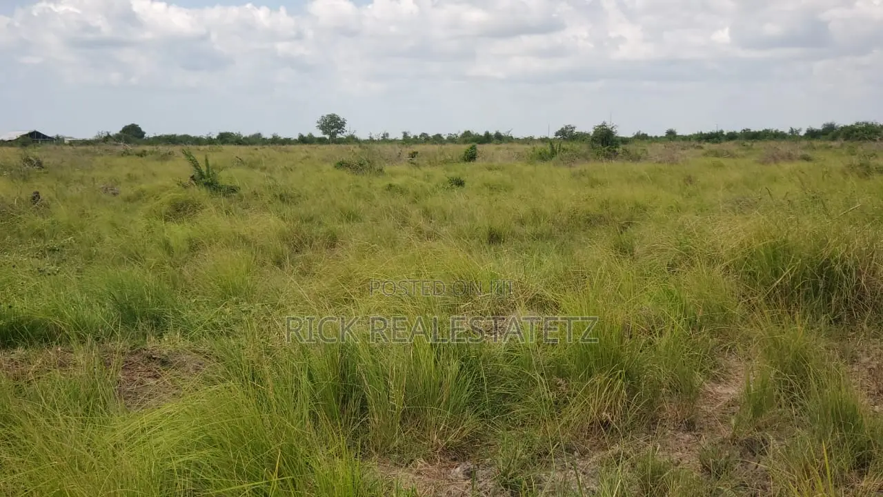 Shamba La Heka Kumi Na Tano (15) Linauzwa Bagamoyo - Makurunge in Saadani