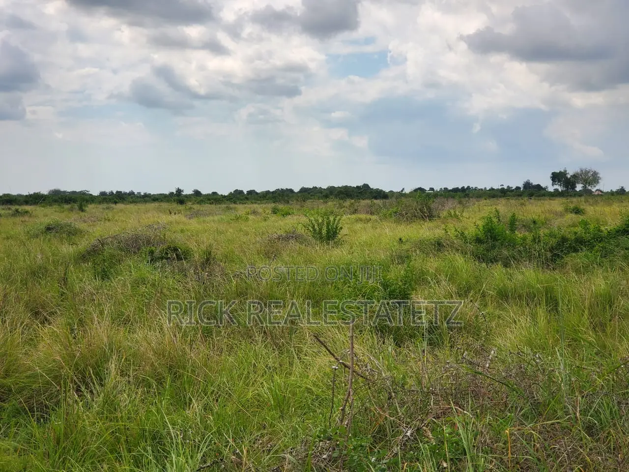Shamba La Heka Kumi Na Tano (15) Linauzwa Bagamoyo - Makurunge in Saadani