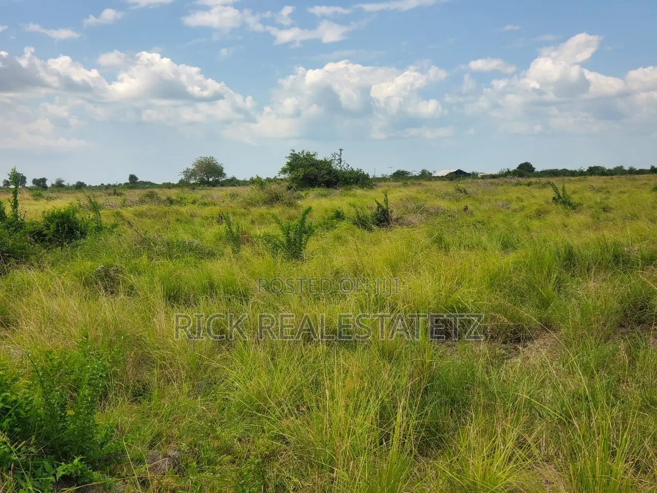 Shamba La Heka Kumi Na Tano (15) Linauzwa Bagamoyo - Makurunge in Saadani