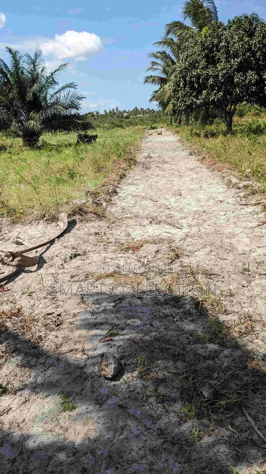 Viwanja Vikindu(Vianzi) Mtaa Wa Changanyikeni in Ilala