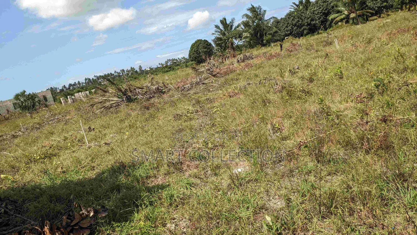 Viwanja Vikindu(Vianzi) Mtaa Wa Changanyikeni in Ilala
