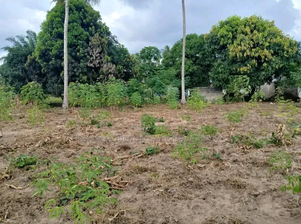 Plot for Sale at Chanika With Clean Title Deed 1000 SQM in Chanika