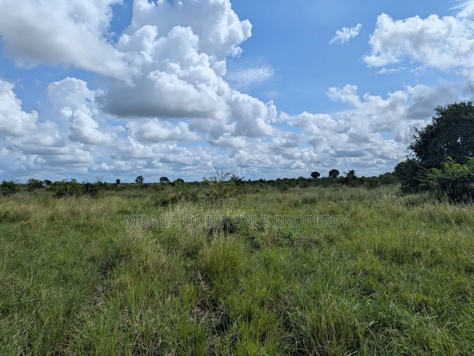 Plot for Sale at Makurunge 1 Acres in Makurugusi