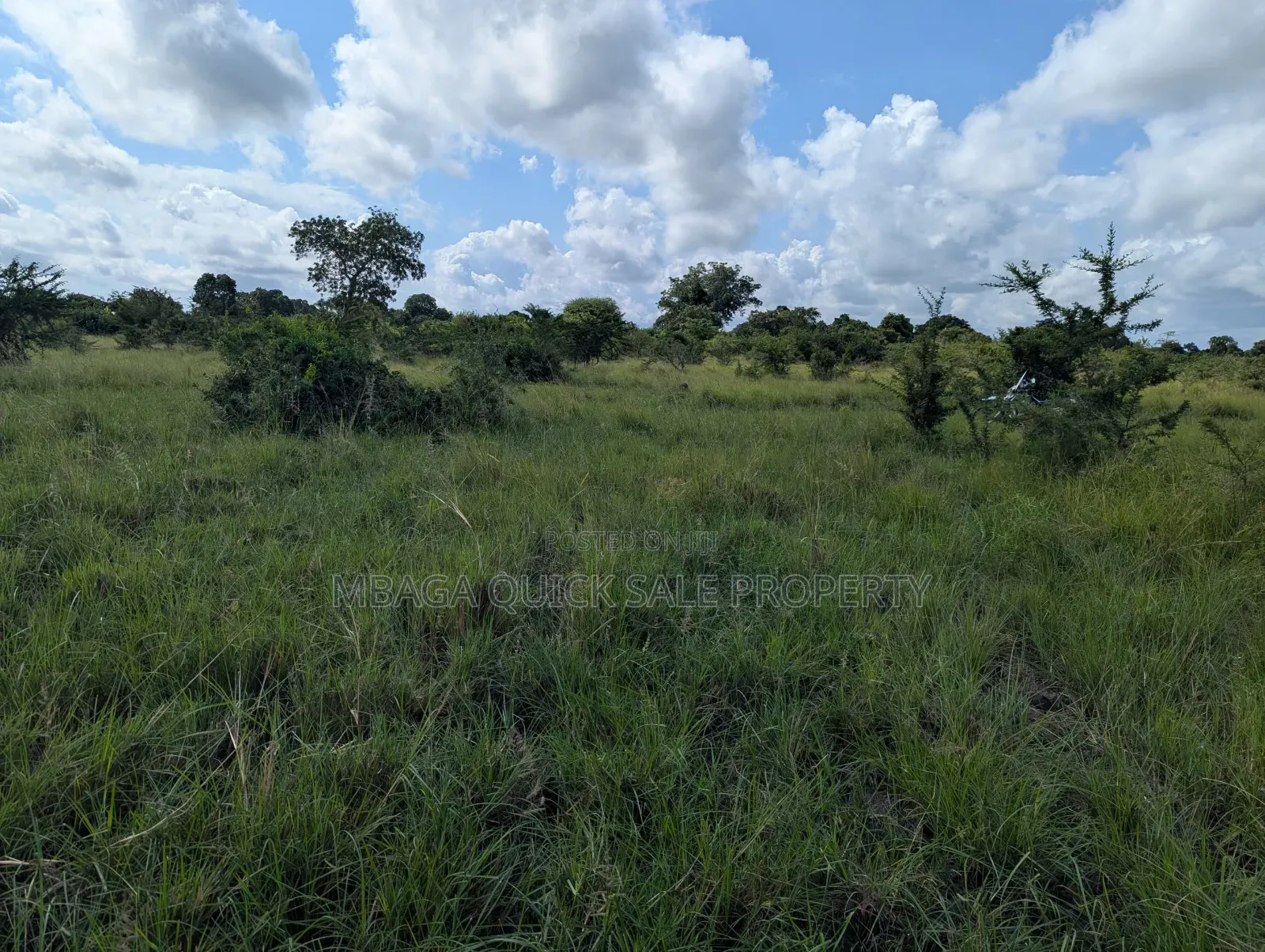 Plot for Sale at Makurunge 1 Acres in Makurugusi