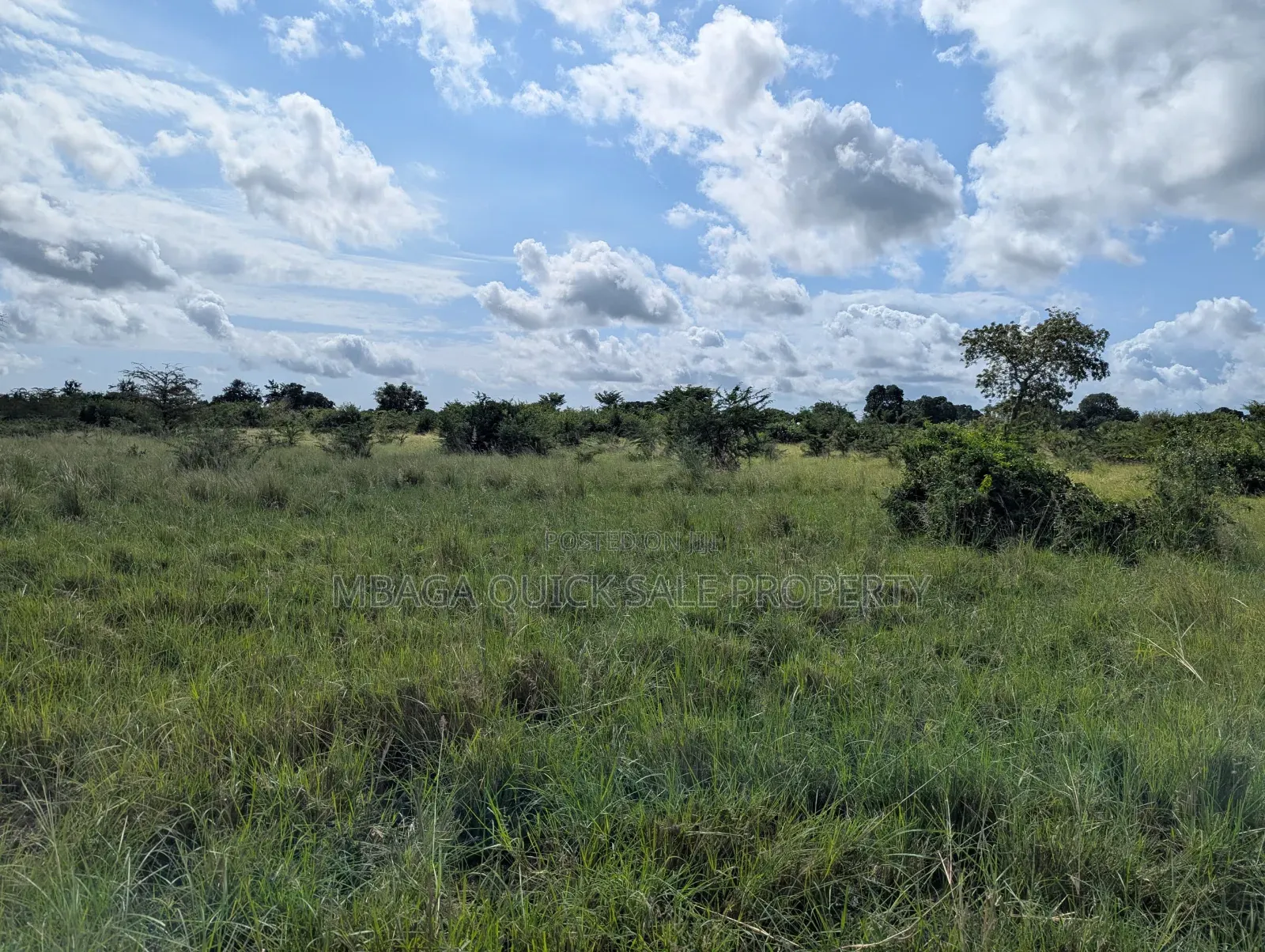 Plot for Sale at Makurunge 1 Acres in Makurugusi