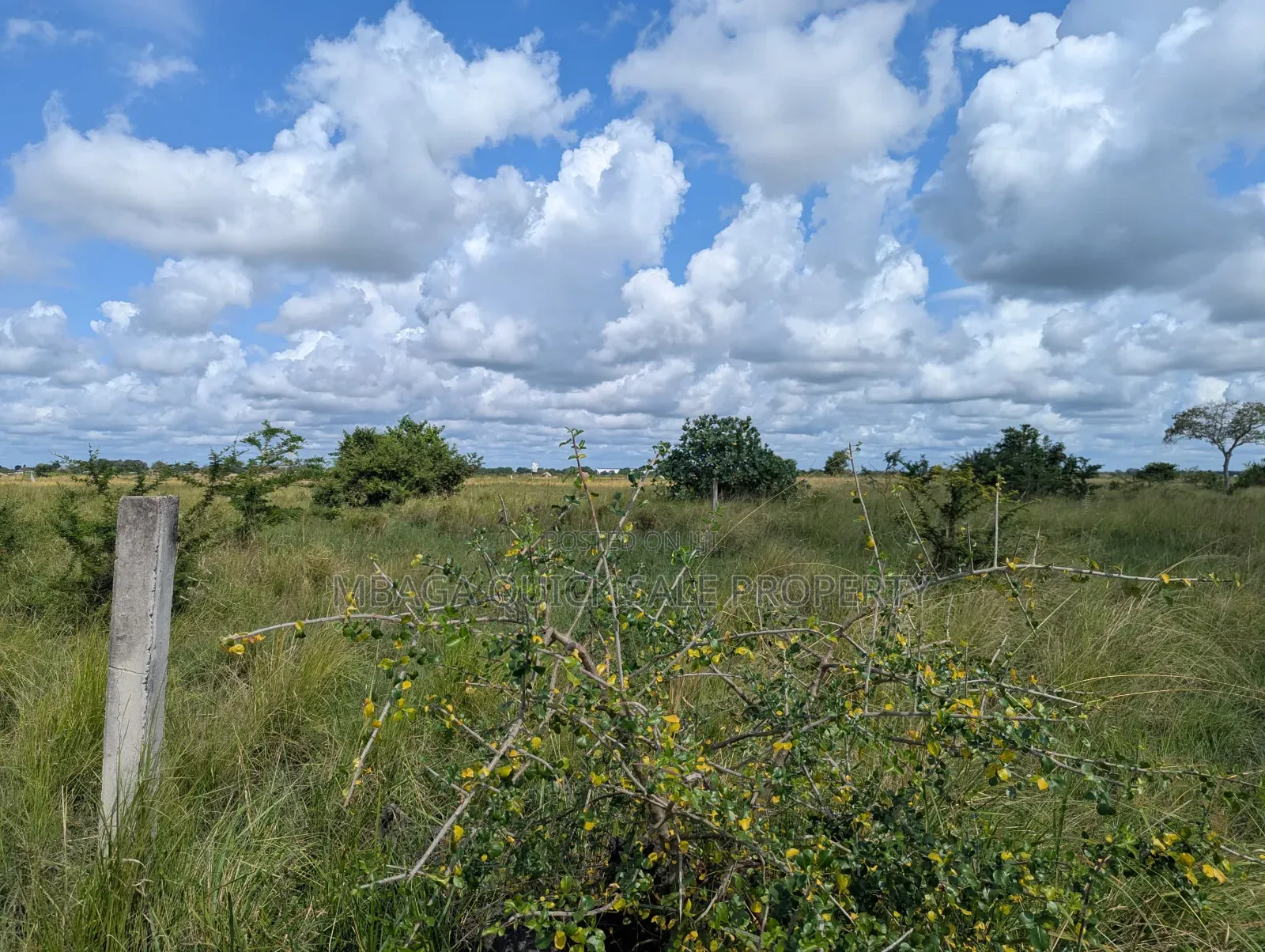 Plot for Sale at Makurunge 1 Acres in Makurugusi