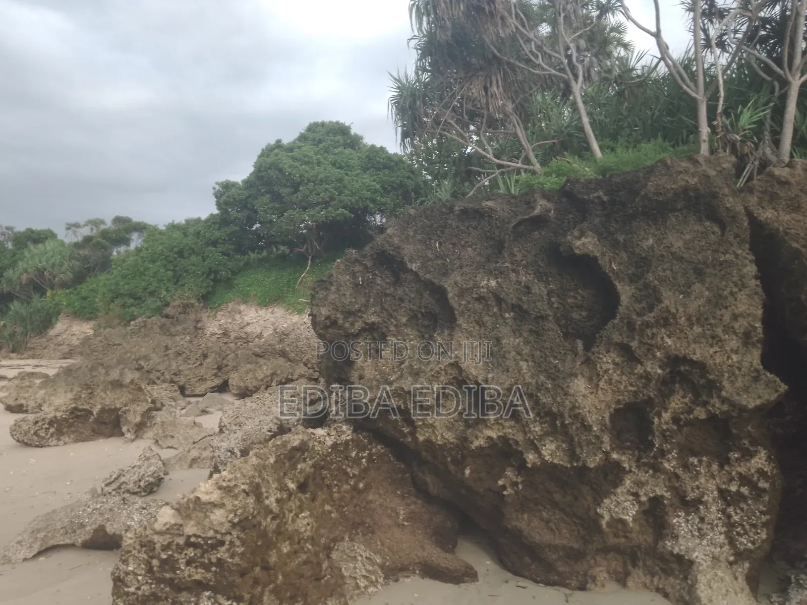 50 Acres Titled Beach Plot for Sale in Pangani Tanga in Mwera