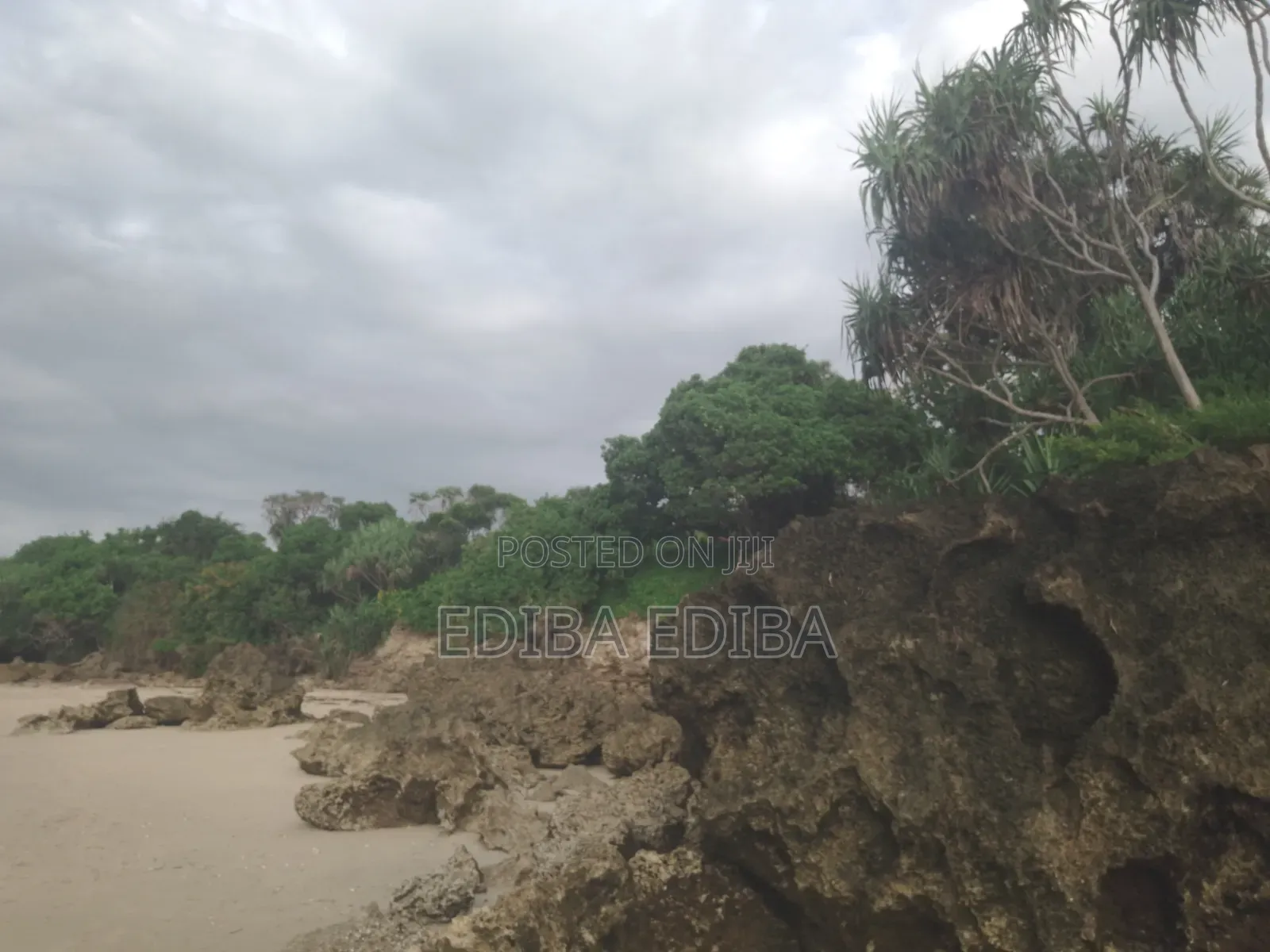 50 Acres Titled Beach Plot for Sale in Pangani Tanga in Mwera