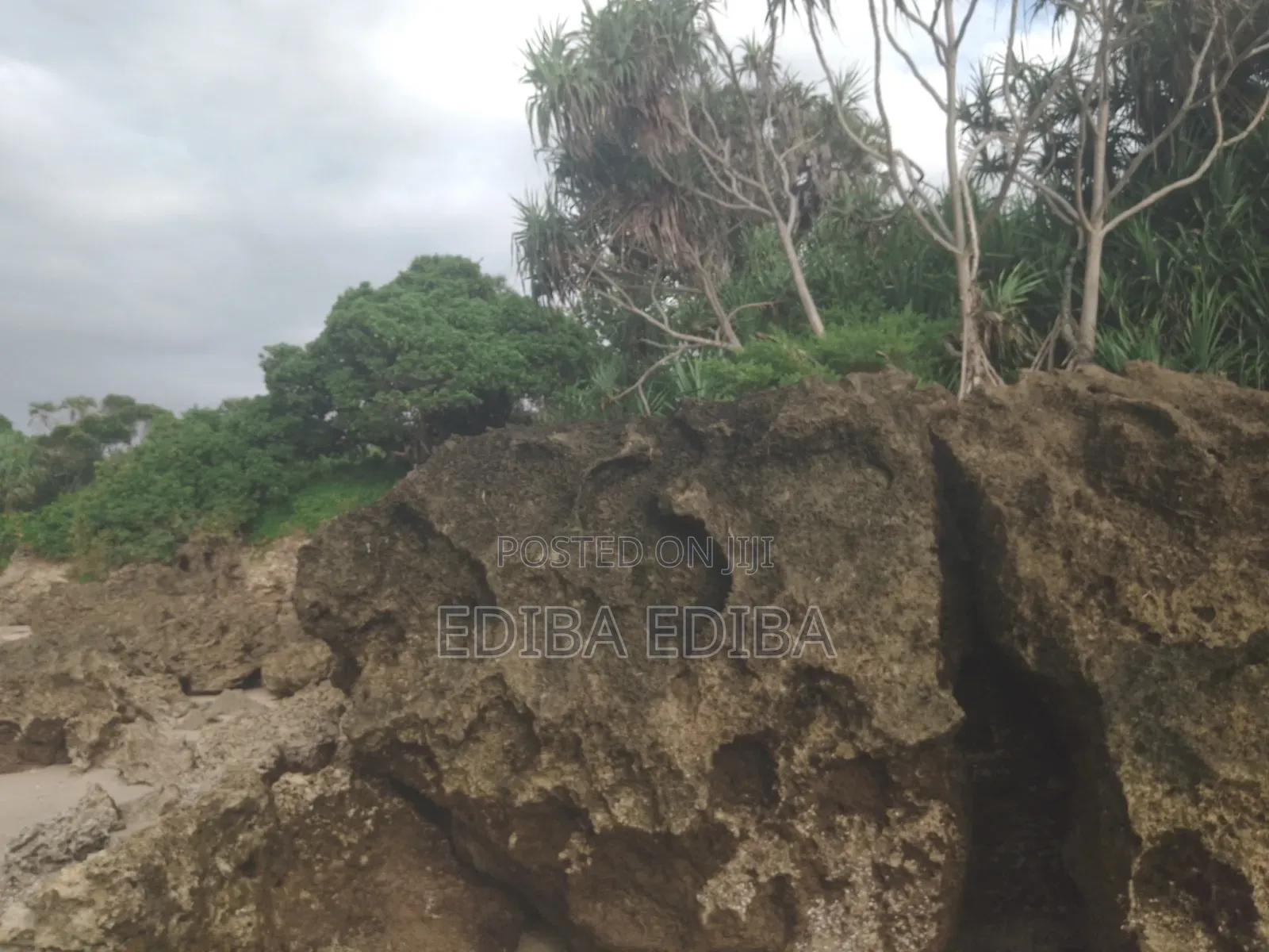 50 Acres Titled Beach Plot for Sale in Pangani Tanga in Mwera