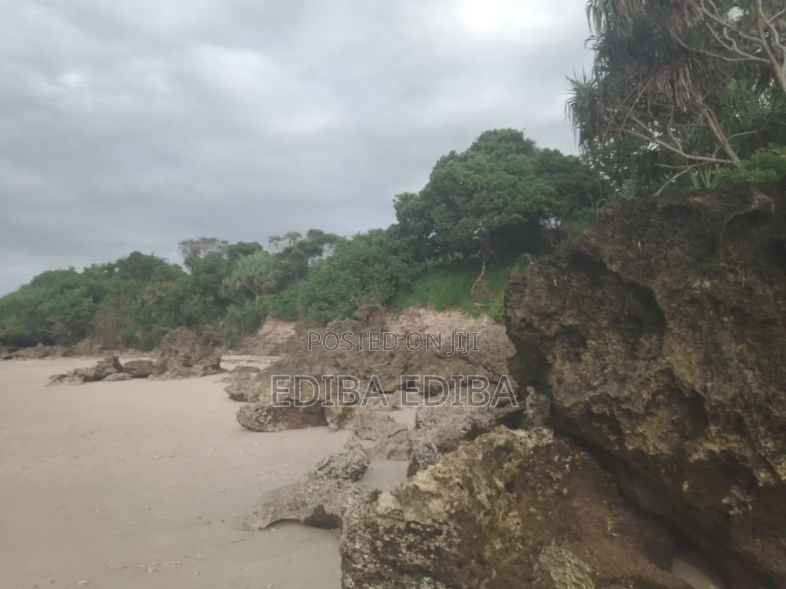 50 Acres Titled Beach Plot for Sale in Pangani Tanga in Mwera