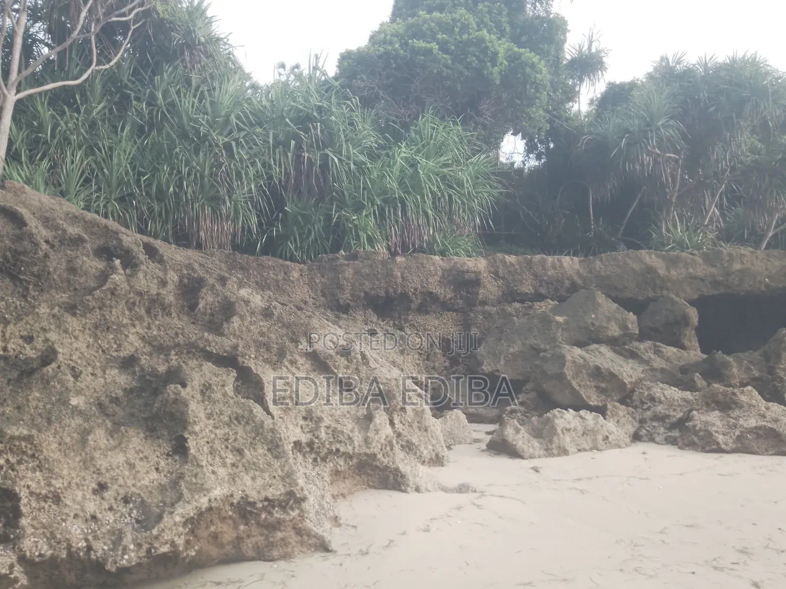 50 Acres Titled Beach Plot for Sale in Pangani Tanga in Mwera